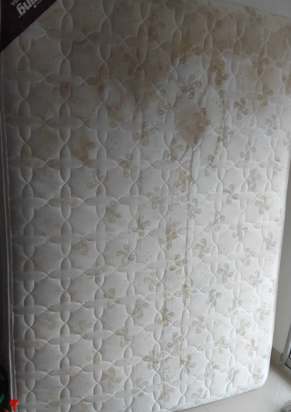 Antes